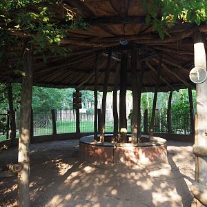 Red kangaroo, Swamp wallaby and emu viewing area, 2020-09-16