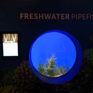 Hilariously Incorrect Signage