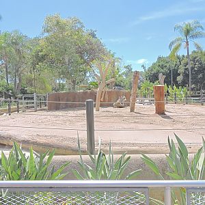 Indian rhinoceros exhibit - Urban Jungle [2015]