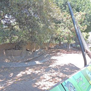 Cheetah and dog exhibit - Urban Jungle [2015]