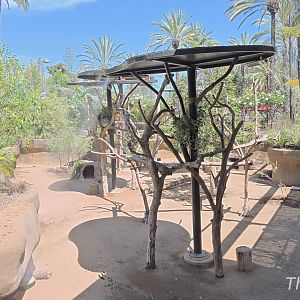 Koala and wallaby exhibit - Outback [2015]