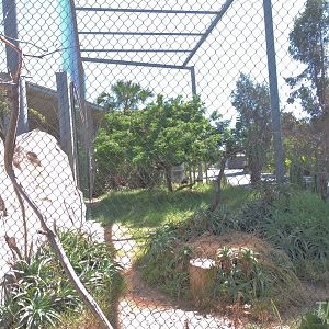 Secretarybird aviary - Elephant Odyssey [2015]