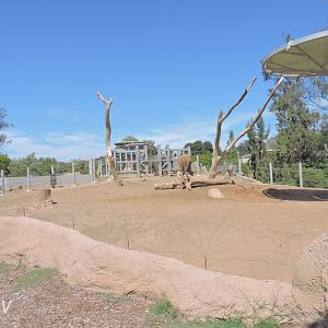 Elephant exhibit - Elephant Odyssey [2015]