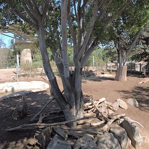 Tapir exhibit - Elephant Odyssey [2015]