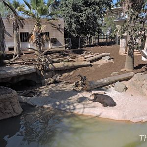 Tapir exhibit - Elephant Odyssey [2015]