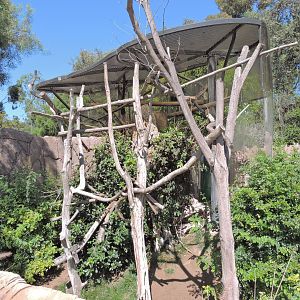 Sloth and dik-dik exhibit - Elephant Odyssey [2015]