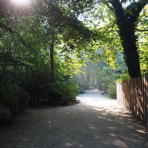 Walkway near the American aviaries, 2020-09-16
