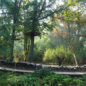 Callitrichid walk-through area, 2020-09-16