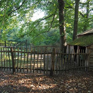 Flemish geese barn and pen, 2020-09-16