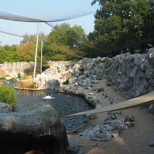 View of the Humboldt penguin exhibit in the South American aviary from the entrance area, 2020-09-16