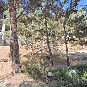 Siberian tundra reindeer exhibit - Northern Frontier [2015]