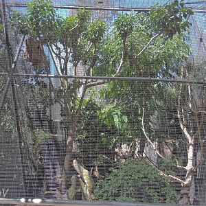 Dollarbird aviary [2015]