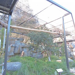 Snow leopard exhibit - Panda Canyon [2015]