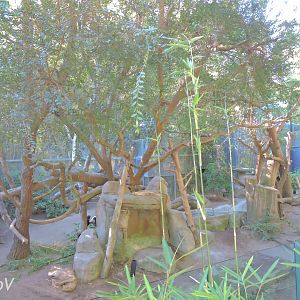 Giant panda exhibit - Panda Canyon [2015]