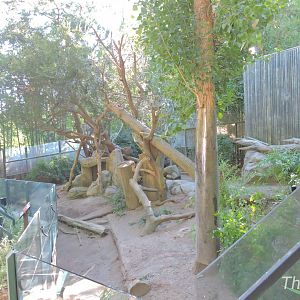 Giant panda exhibit - Panda Canyon [2015]