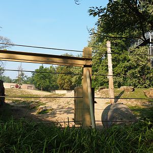 Asian elephant paddock and elephant feeding area, 2020-09-16
