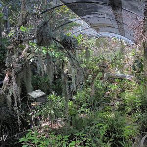 Hummingbird aviary - Discovery Outpost [2015]