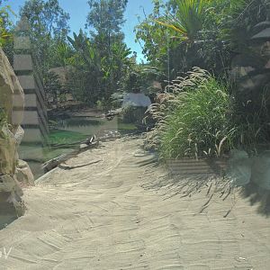 Freshwater crocodile exhibit - Discovery Outpost [2015]