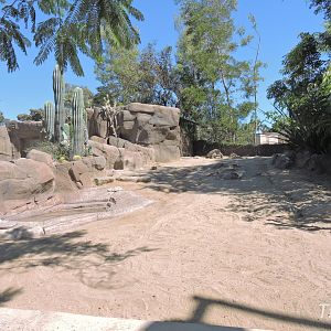 Galápagos giant tortoise exhibit - Discovery Outpost [2015]