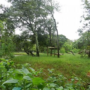 Jaguar exhibit - Belo Horizonte zoo