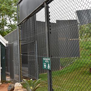 New Gibbon Night Quarters