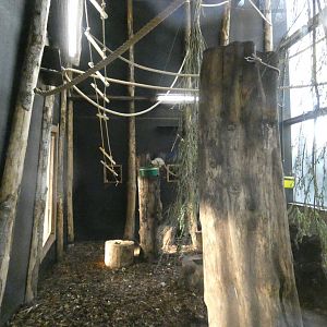 Squirrel monkey indoor enclosure