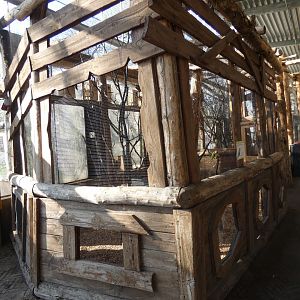 Rainbow lorikeet aviary