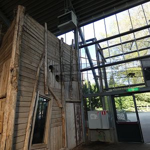 Tunnel connecting squirrel monkey indoor and outdoor