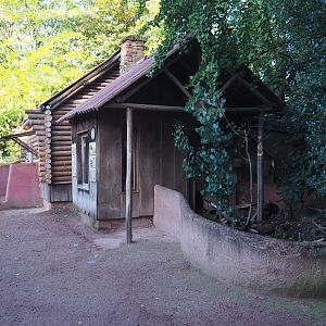 South-east Australian short-beaked echidna exhibit and house, 2020-10-10