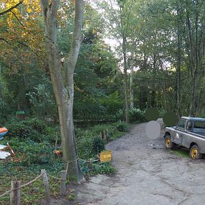 African area walkway with vehicle theming, 2020-10-10