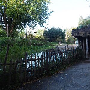 Bonobo island and access to the cave under the African village, 2020-10-10
