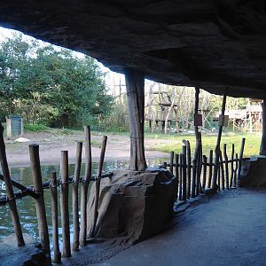 Bonobo island viewing area in the cave under the African village, 2020-10-10