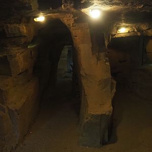 Cave under the African village with viewing windows into mongoose dens and bonobo indoor housing, 2020-10-10