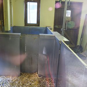 Indoor housing Cape porcupines, 2020-10-10