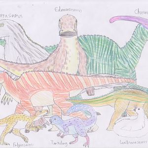 Meso-Posters: Ornithopoda