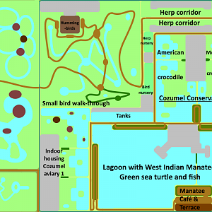 Make an Exhibit for that Island - Cozumel Conservation Center