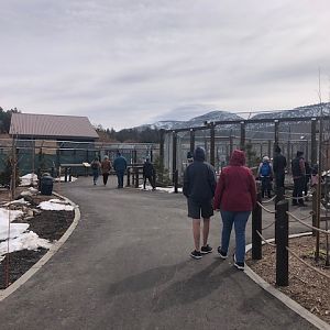 Row of large exhibits