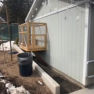 Unfinished nocturnal house