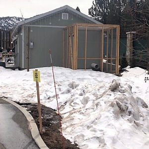 Unfinished nocturnal house