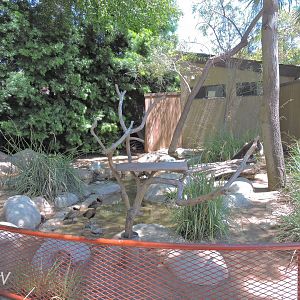 Pangolin show area - Discovery Outpost [2015]