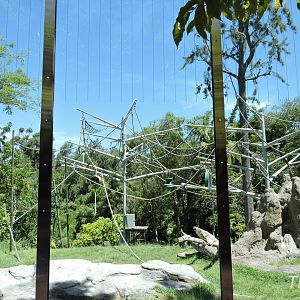 Orangutan exhibit - Lost Forest [2015]