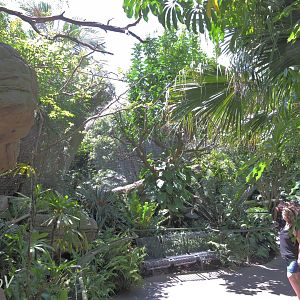 Parker Aviary - Lost Forest [2015]