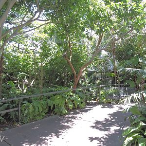 Parker Aviary - Lost Forest [2015]