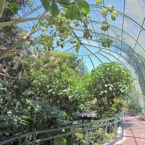 Owens Aviary - Lost Forest [2015]