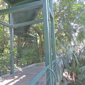 Owens Aviary - Lost Forest [2015]