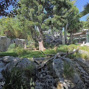 Gorilla exhibit - Lost Forest [2015]