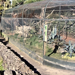 Old bird cage by the river.