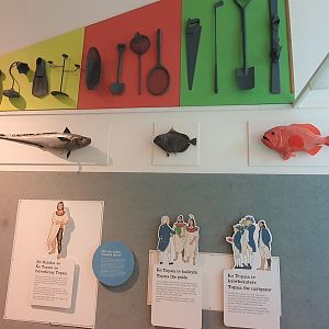 Fish taxidermy ID, Nelson Provincial Museum