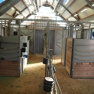 Indoor paddocks in the Kordofan giraffe house, 2020-10-10