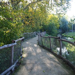 Walkway alongside the giraffe savanna exhibit, 2020-10-10